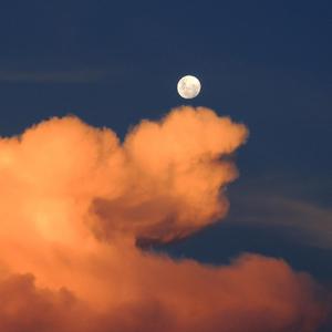 免费看成年入口网站
